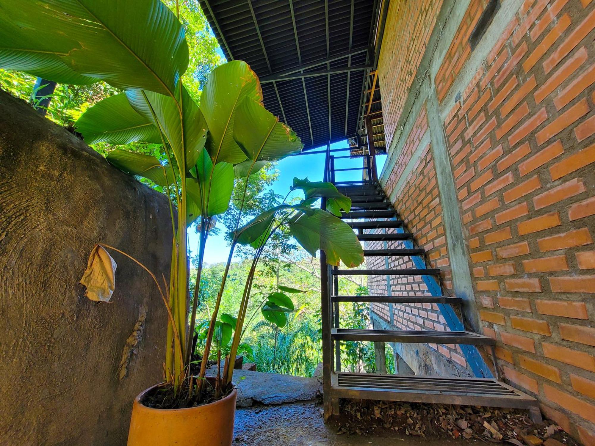 Albergue Pistacho Minca Exterior foto